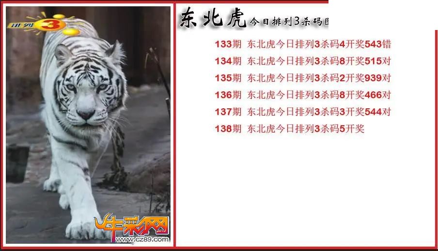 2026138期P3东北虎通杀一码图
