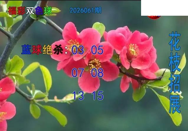 双色球2026年图迷061期 花枝招展蓝球绝杀图
