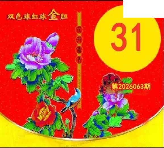 红球金胆26年063期双色球图谜