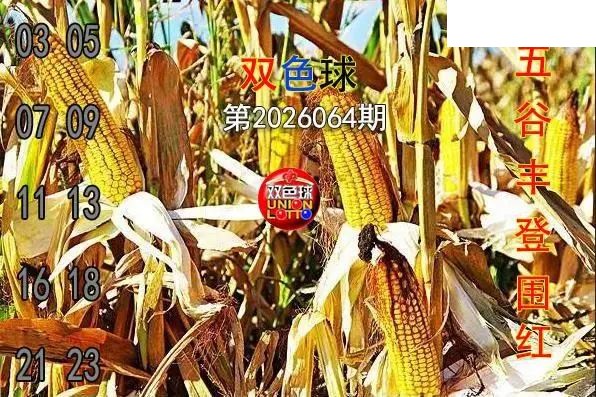 双色球2026年图迷064期 五谷丰登围红图