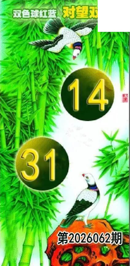 对望双胆26年062期双色球图谜红蓝