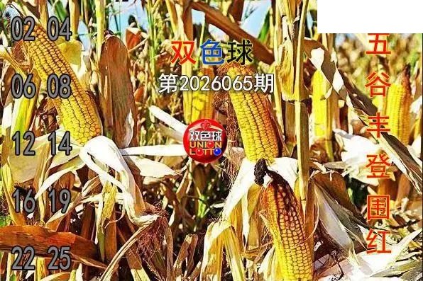 双色球2026年图迷065期 五谷丰登围红图
