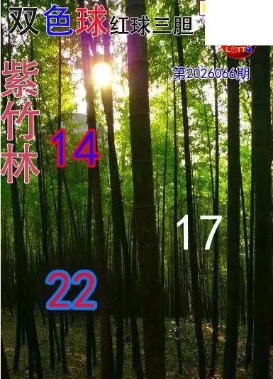 双色球2026年图迷066期 紫竹林红球三胆图