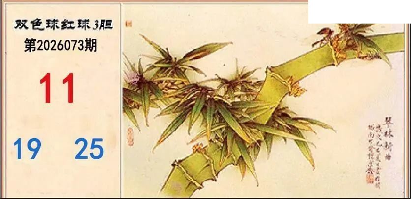翠竹红球三胆26年073期双色球图谜