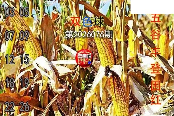双色球2026年图迷076期 五谷丰登围红图