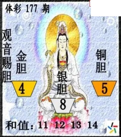 26年体彩P3177期 茶城沧江图谜