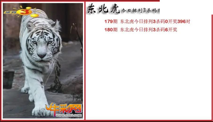 2026180期P3东北虎通杀一码图