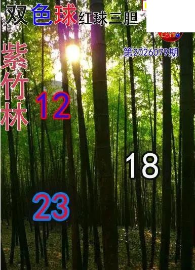 双色球2026年图迷079期 紫竹林红球三胆图